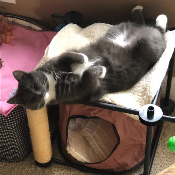 Fiona, My Posh Helper - Picture 2 of 10